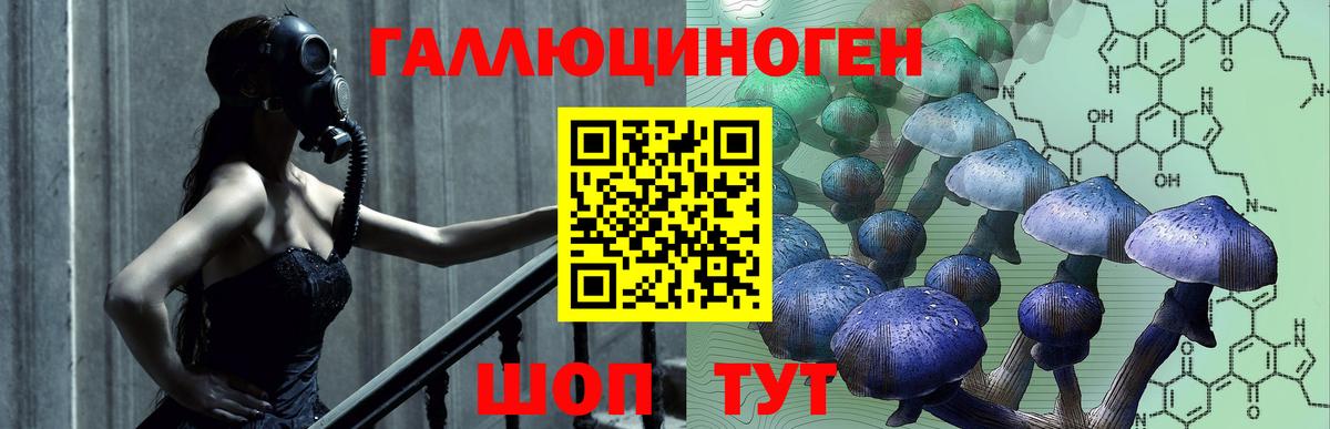 как найти   Вход с VPN  Тавда  Галлюциногенные грибы Cubensis 